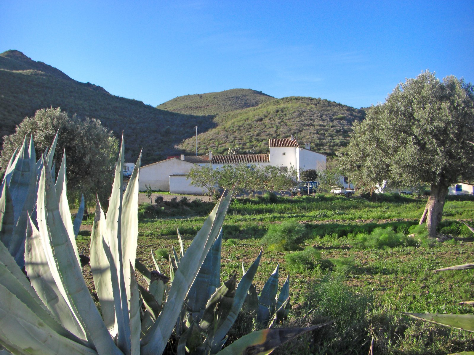 2425 andalusien, murcia, puerto lumbreras, finca zu verkaufen