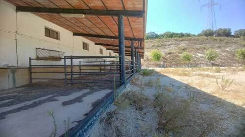 2440JL andalusien, arcos de la frontera, finca, pferdehaltung zu verkaufen