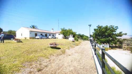 2440JL andalusien, arcos de la frontera, finca, pferdehaltung zu verkaufen