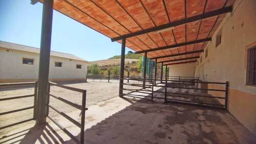 2440JL andalusien, arcos de la frontera, finca, pferdehaltung zu verkaufen