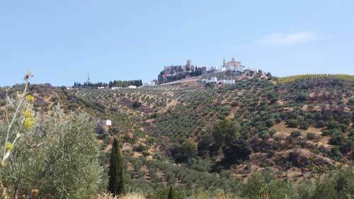 2449 Andalusien, provinz Cadiz, Olvera, finca mit vielen möglichkeiten zu verkaufen