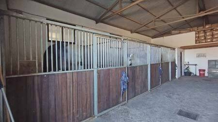 2361 andalusia, costa del sol, sotogrande, jimena, countryproperty, horsestables for sale