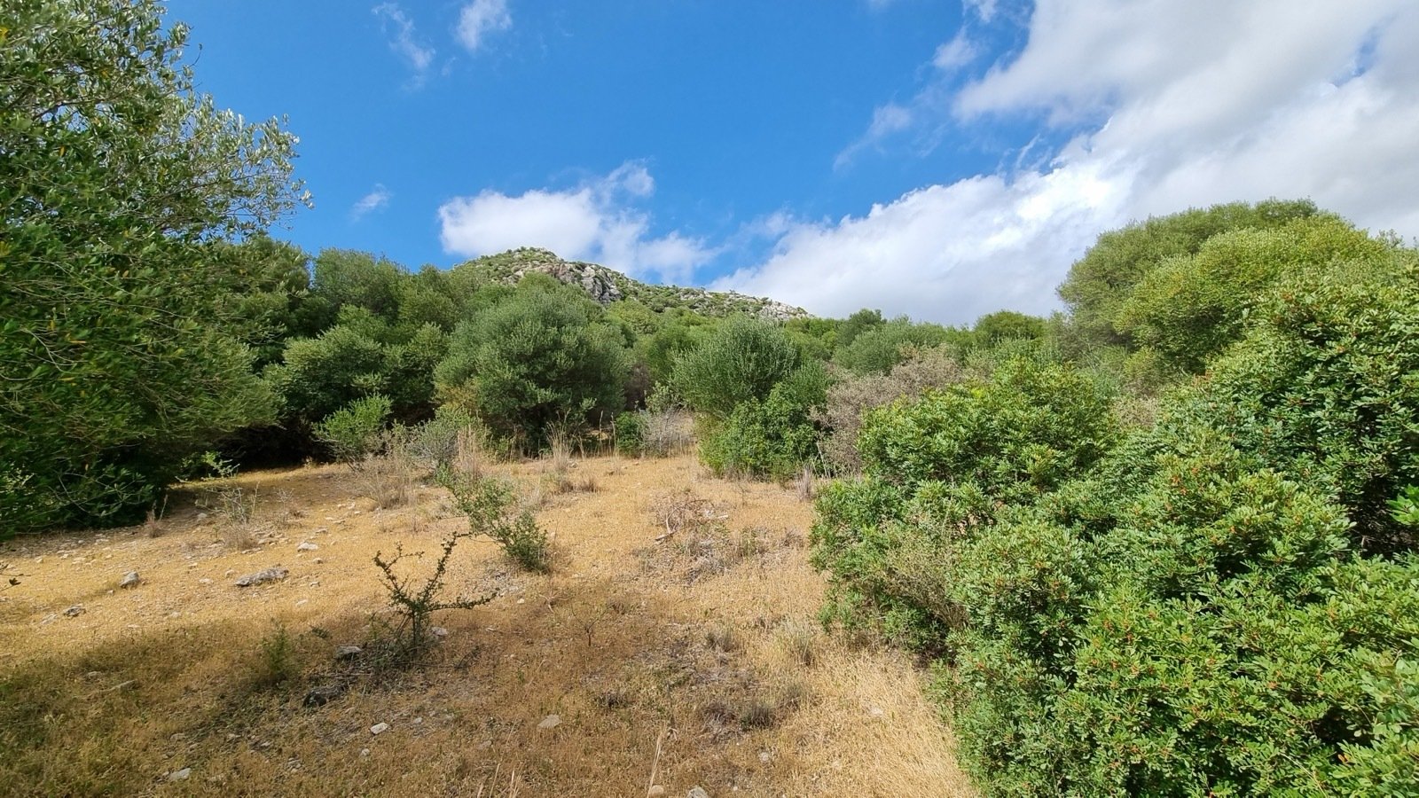 2421 andalusia, costa del sol, casares - building plot for sale