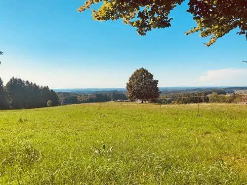 2436 germany, bavaria, countryhouse, stable, for sale