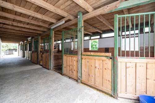 2439 horse property for sale in germany, bavaria