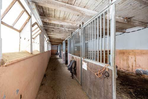 2439 horse property for sale in germany, bavaria