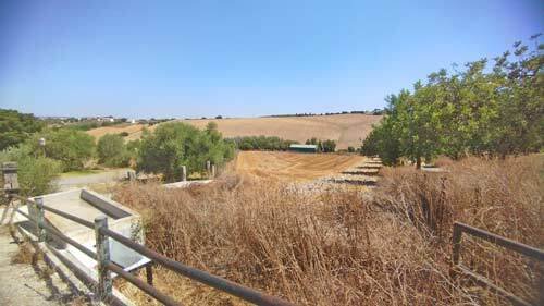 2440JL andalusia, arcos de la frontera, finca, equestrian property, studfarm, for sale