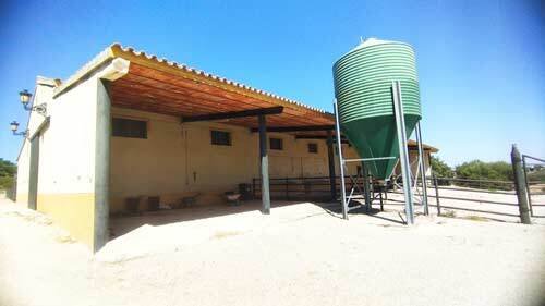 2440JL andalusia, arcos de la frontera, finca, equestrian property, studfarm, for sale