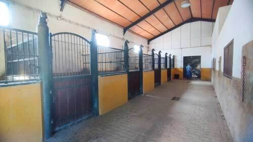 2440JL andalusia, arcos de la frontera, finca, equestrian property, studfarm, for sale