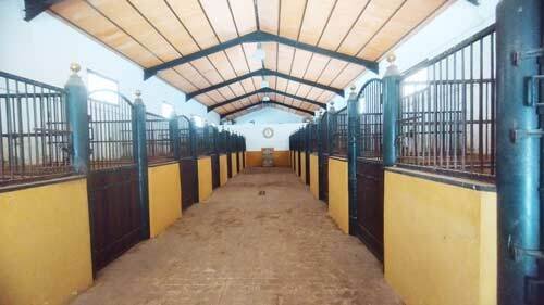 2440JL andalusia, arcos de la frontera, finca, equestrian property, studfarm, for sale