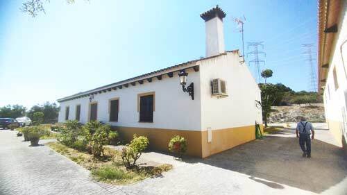 2440JL andalusia, arcos de la frontera, finca, equestrian property, studfarm, for sale