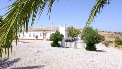 2443 Andalusia, province sevilla, montellano, countryhouse with pool for sale