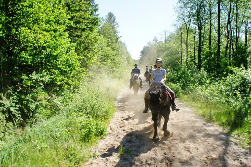 2452 Lower Saxony, East Frisia, Wittmund, riding stable, vacation farm for sale