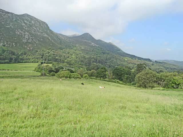 2021 asturias, lloroni, finca, horse farm, country property for sale