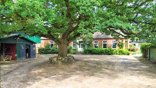 2239ON - Germany, schleswig holstein, boel - horse property for sale