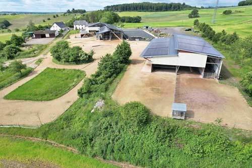 2456mk germany, rheinland pfalz, dörnberg, horse equestrian property for sale