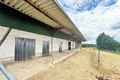 2456mk germany, rheinland pfalz, dörnberg, horse equestrian property for sale