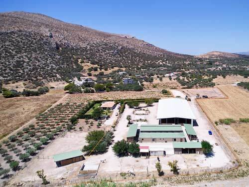 2442 greece, athens, kalyvia, horse equestrian property for sale