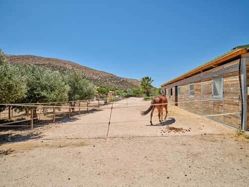 2442 greece, athens, kalyvia, horse equestrian property for sale