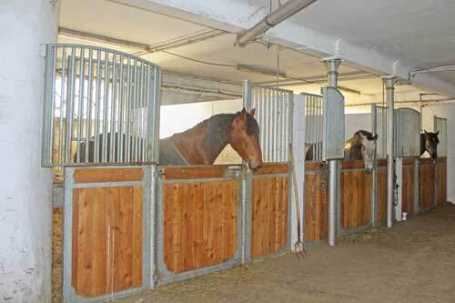 2459 Lower Saxony, Wurster North Sea coast, estate, equestrian property, equestrian farm, for sale