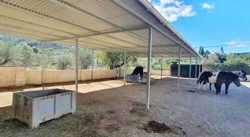 2444NP andalusia, malaga, monda, house, pool, finca, horsestables for sale