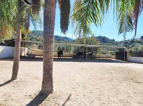 2444NP andalusia, malaga, monda, house, pool, finca, horsestables for sale