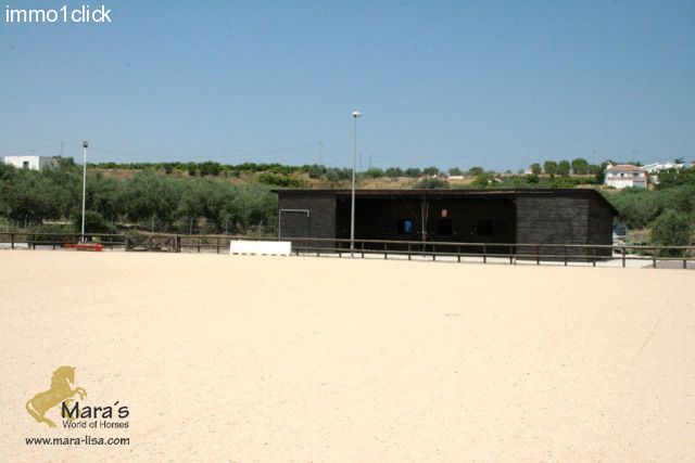 Villa with horsestables for sale in Andalusia, Costa del Sol, Alhaurin el Grande