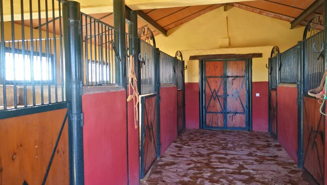 andalusia, arcos, finca con cuadras para caballos en venta