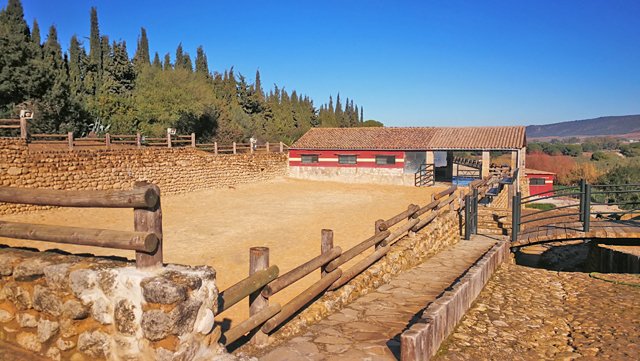 andalusia, arcos, finca con cuadras para caballos en venta