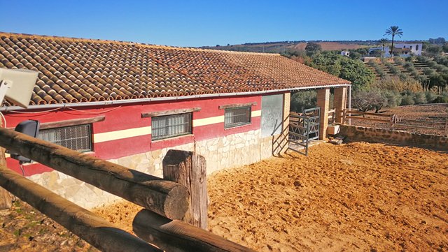 andalusia, arcos, finca con cuadras para caballos en venta