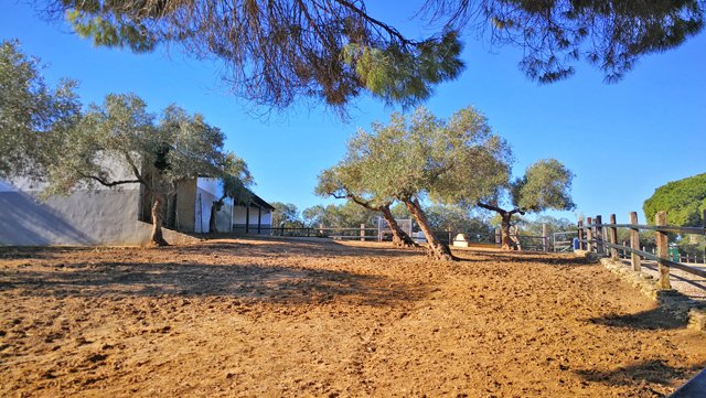 andalusia, arcos, finca con cuadras para caballos en venta