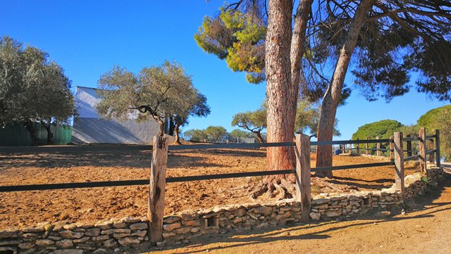 andalusia, arcos, finca con cuadras para caballos en venta