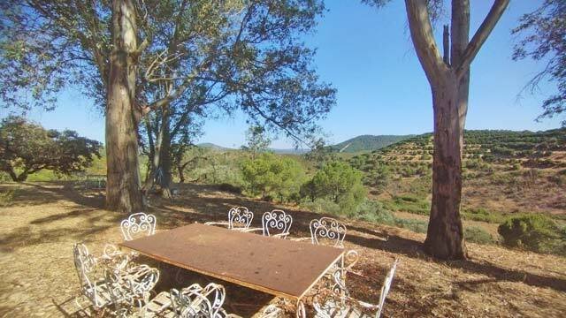 2426 andalucia, huelva, nerva, finca con 2 casas en venta