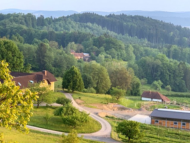 2457 austria, steiermark, casa con 2 pisos y cuadras para caballos en venta